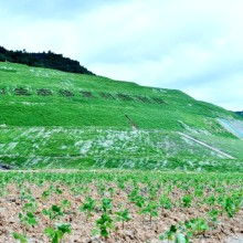 浙江水環境治理工程物化凝聚復合劑的環境檢測服務