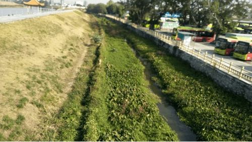 治水攻堅戰 新華街水環境治理進行時——12月6日戰報