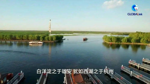 大美白洋淀 環(huán)境檢測(cè)服務(wù)助力生態(tài)保護(hù)