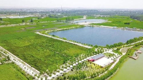 中衛(wèi)市 多措并舉 鞏固提升水環(huán)境治理成效